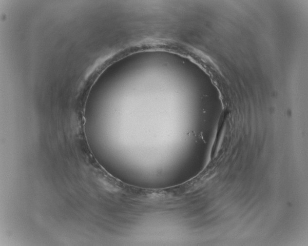 X0000074321160200609152025