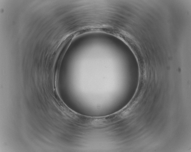 X0000074321161200609152025