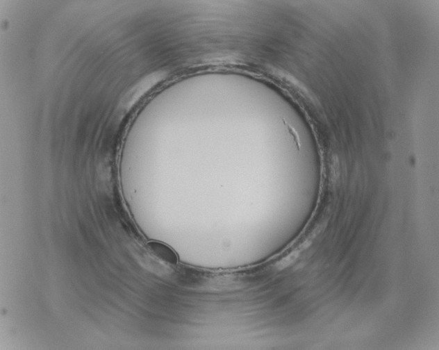 X0000074321162200609152025