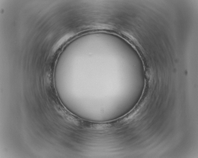 X0000074321163200609152024