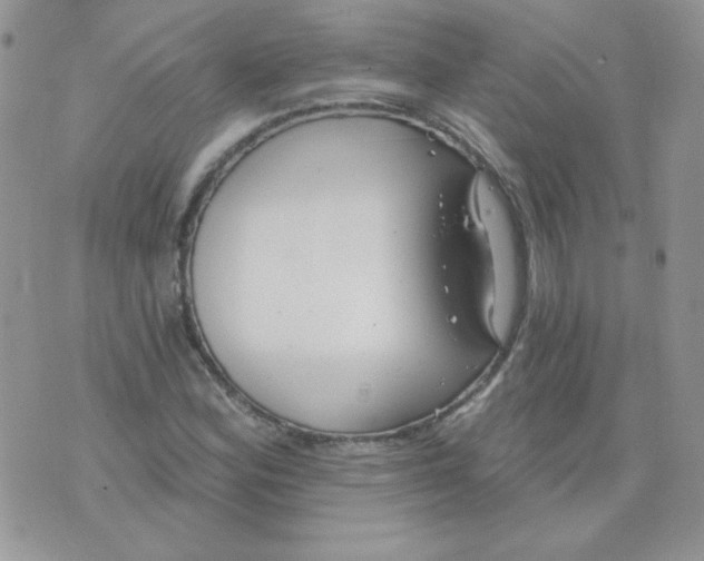 X0000074321164200609152024