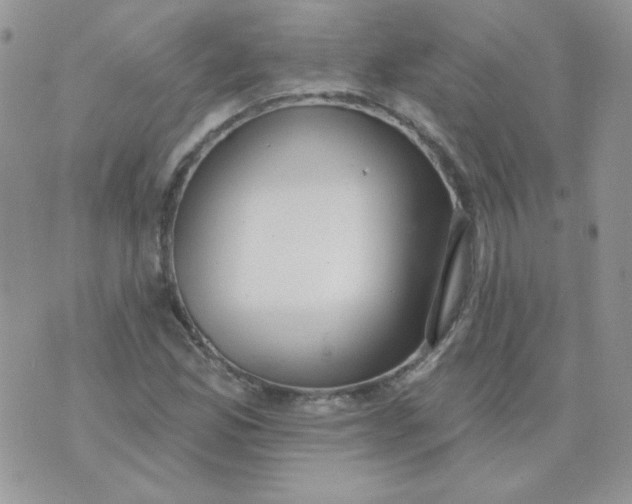 X0000074321165200609152024