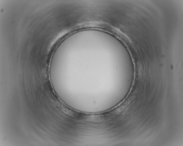 X0000074321166200609152024