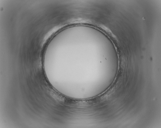 X0000074321167200609152024