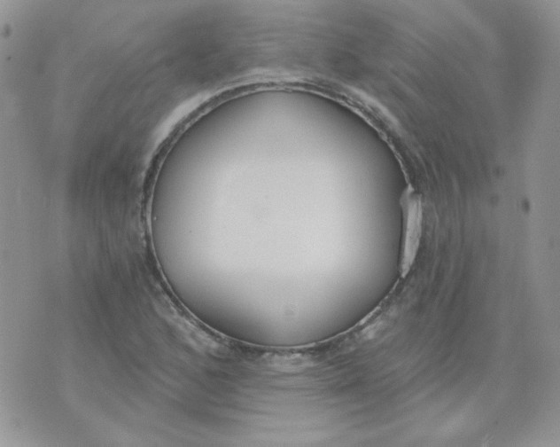 X0000074321168200609152024