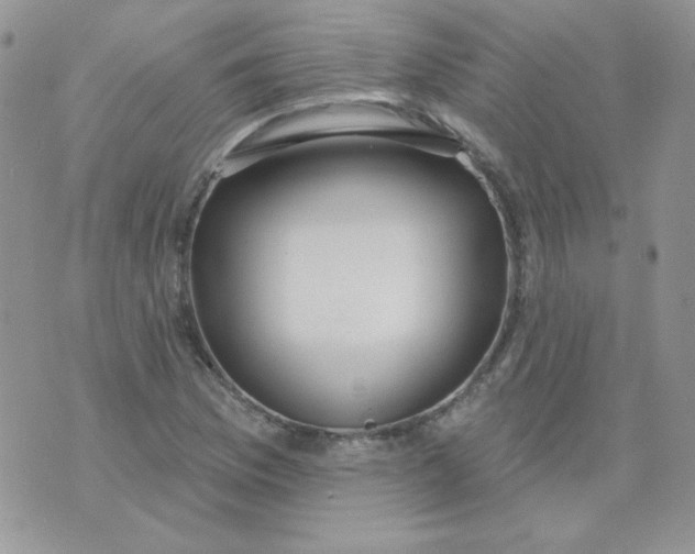 X0000074321169200609152024