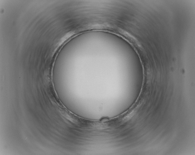 X0000074321170200609152024