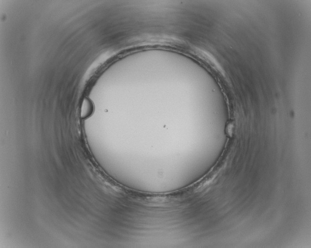 X0000074321172200609152024