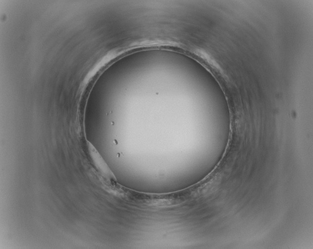 X0000074321173200609152024