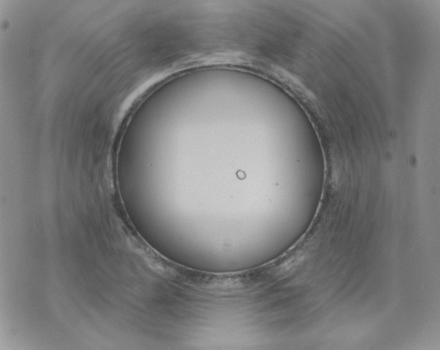 X0000074321174200609152024