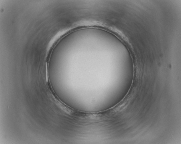 X0000074321175200609152024