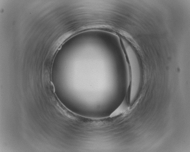 X0000074321177200609152024