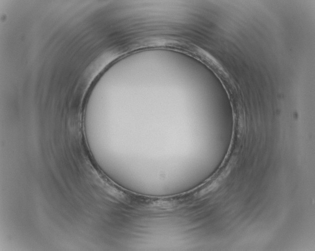 X0000074321178200609152024