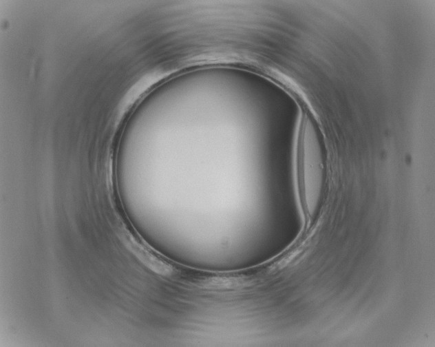 X0000074321179200609152024