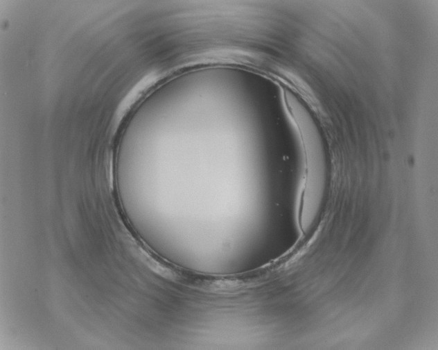 X0000074321180200609152024