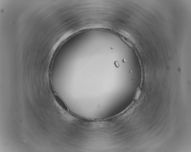 X0000074321181200609152024