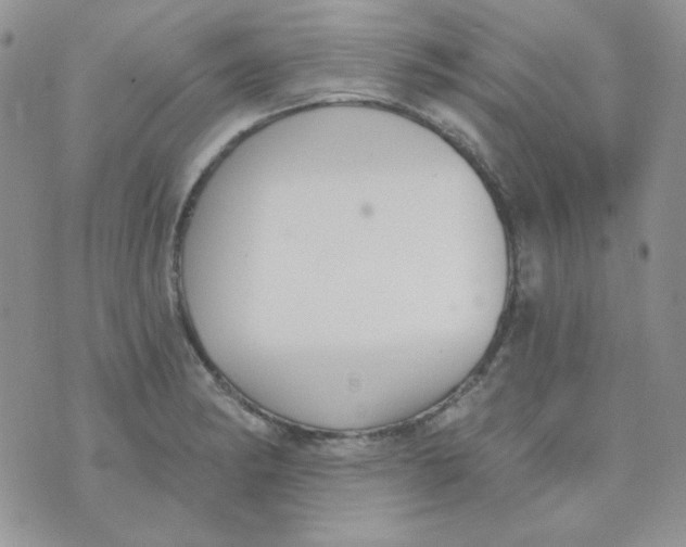 X0000074321182200609152024