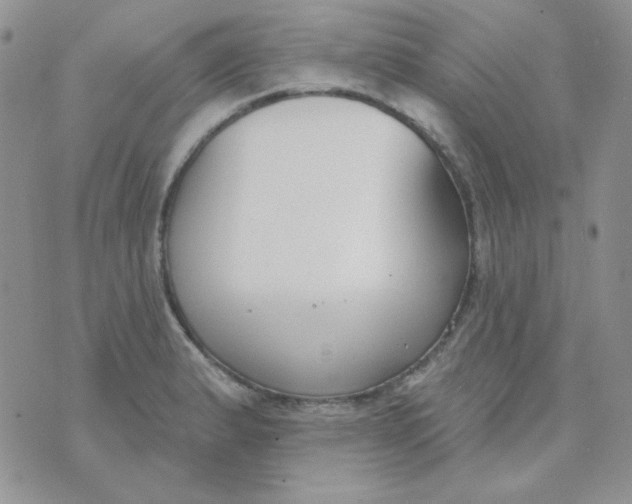 X0000074321183200609152024