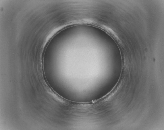 X0000074321184200609152024