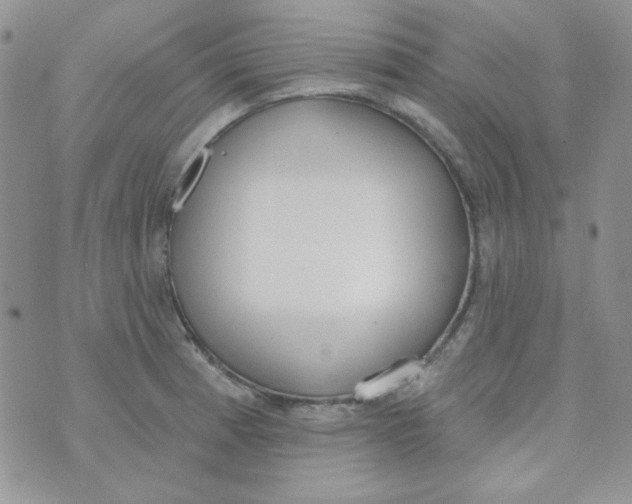 X0000074321185200609152024