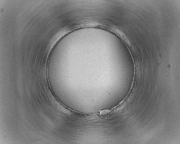 X0000074321186200609152024