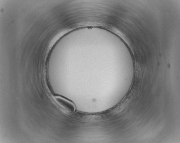 X0000074321187200609152024