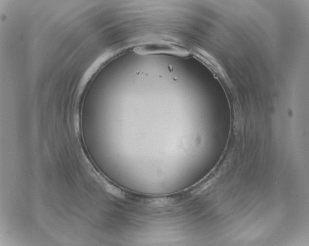 X0000074321188200609152024