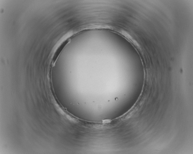 X0000074321189200609152024