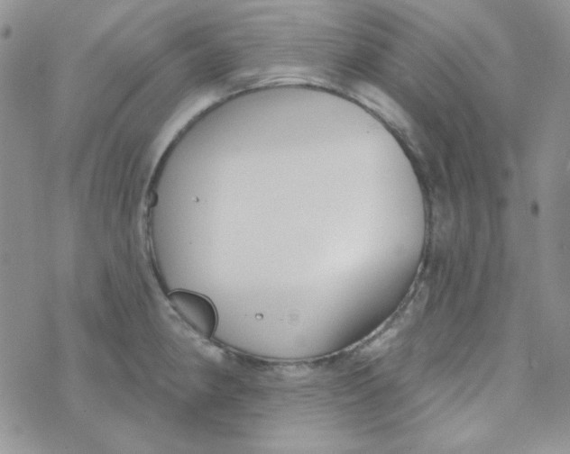 X0000074321190200609152024