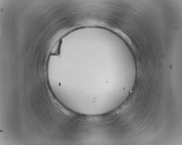 X0000074321191200609152024