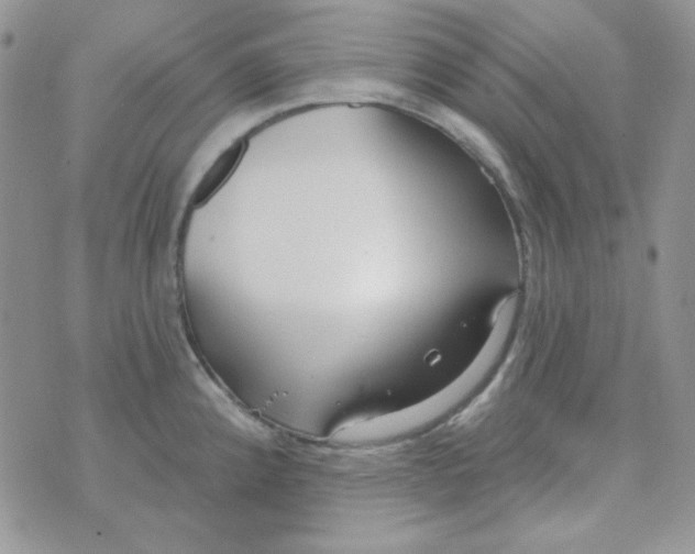 X0000074321192200609152024