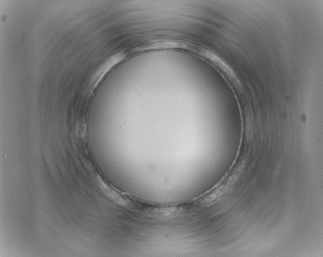 X0000074321193200609152024