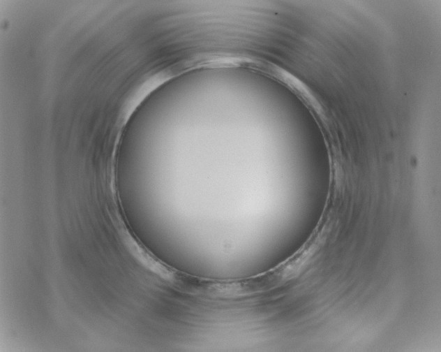 X0000074321194200609152024