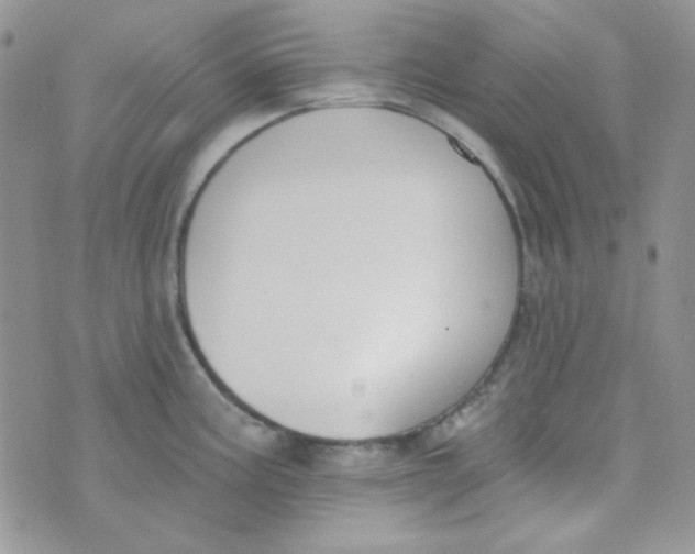 X0000074321195200609152024