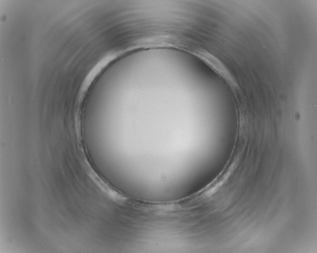 X0000074321196200609152024