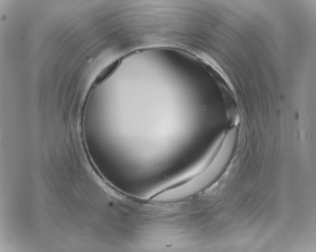 X0000074321197200609152024