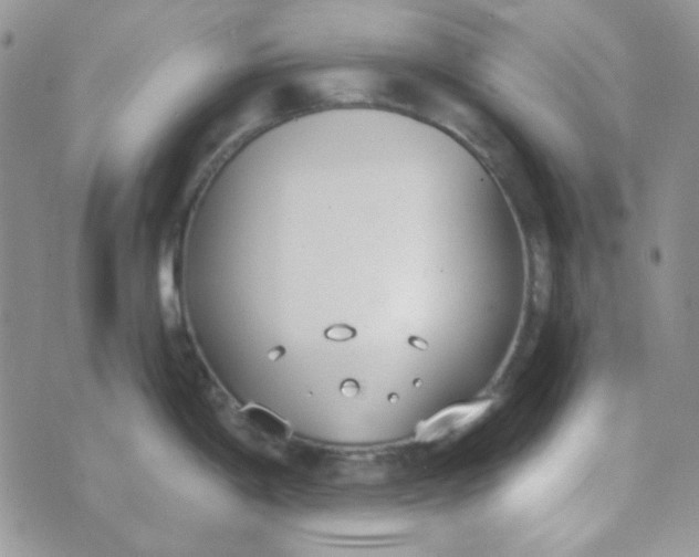 X0000074321198200609152024