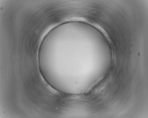 X0000074321199200609152024