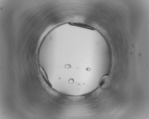 X0000074321200200609152024