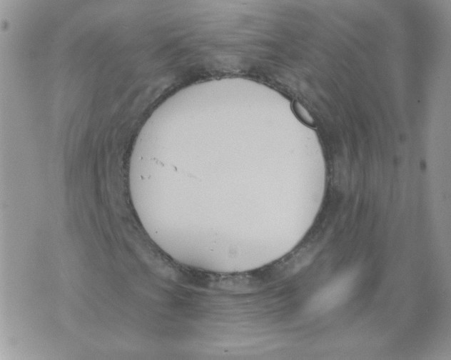 X0000074321201200609152023