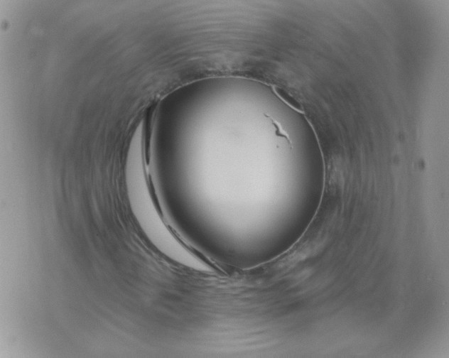 X0000074321202200609152023