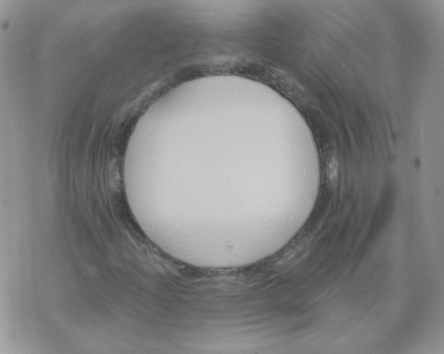 X0000074321204200609152023