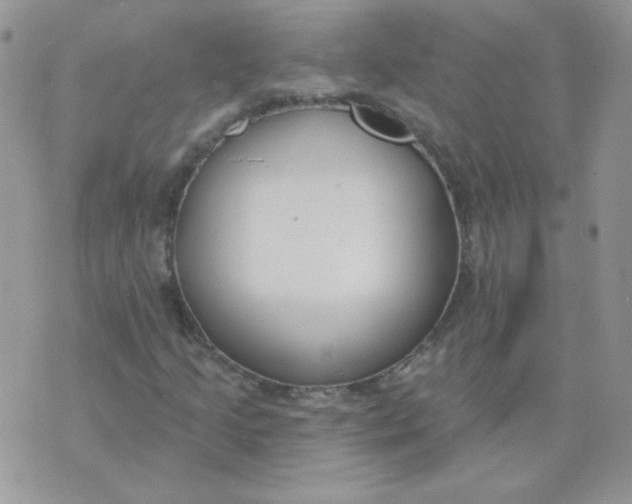 X0000074321205200609152023