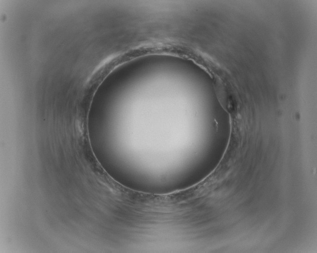 X0000074321206200609152023