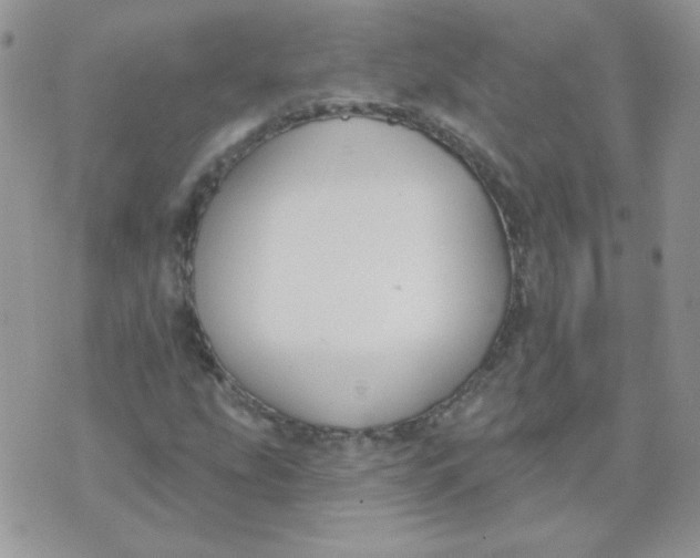 X0000074321207200609152023