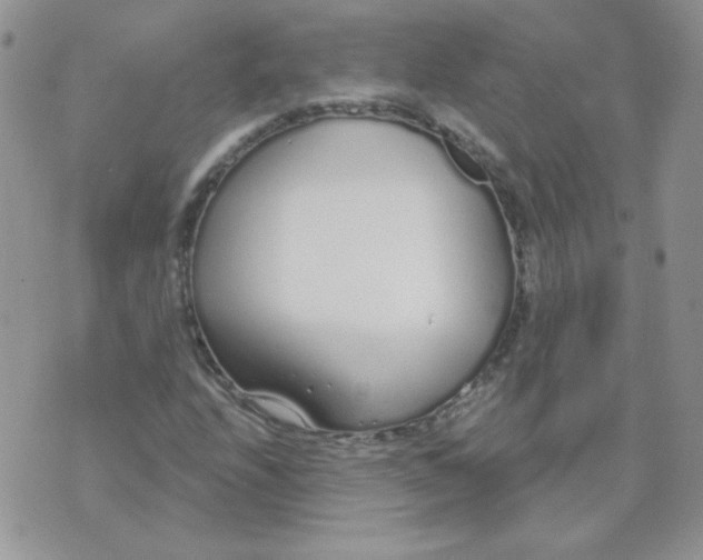 X0000074321208200609152023