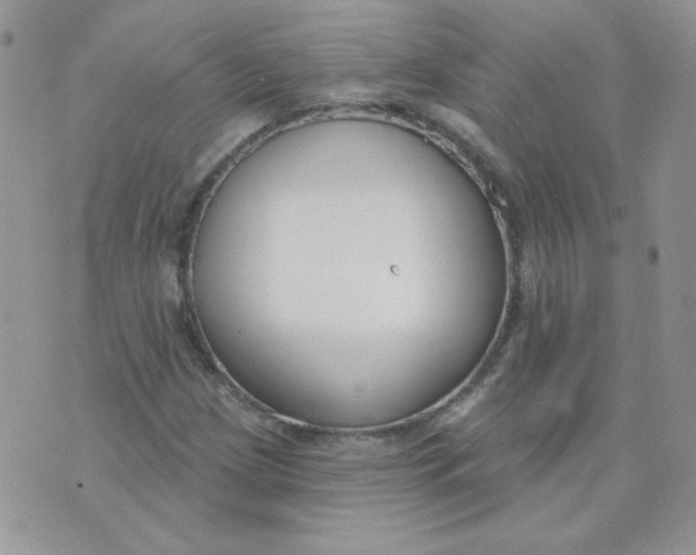 X0000074321209200609152023