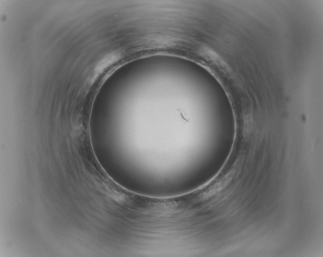 X0000074321210200609152023