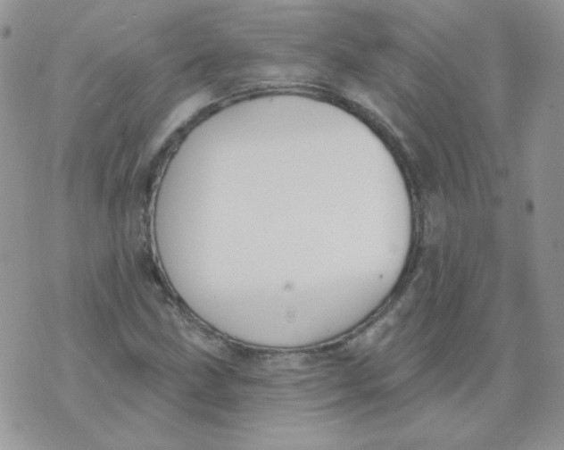 X0000074321211200609152023