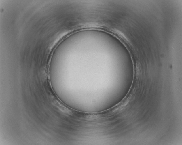 X0000074321212200609152023